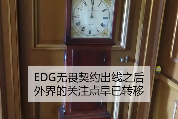EDG无畏契约出线之后 外界的关注点早已转移